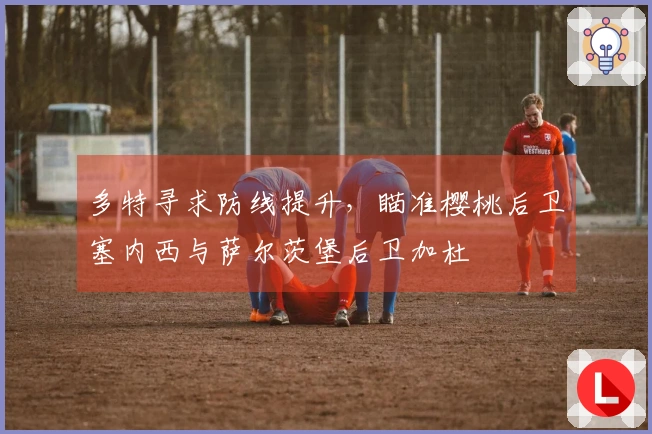 多特寻求防线提升，瞄准樱桃后卫塞内西与萨尔茨堡后卫加杜