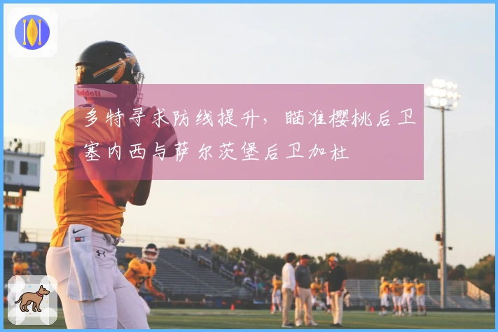 多特寻求防线提升，瞄准樱桃后卫塞内西与萨尔茨堡后卫加杜